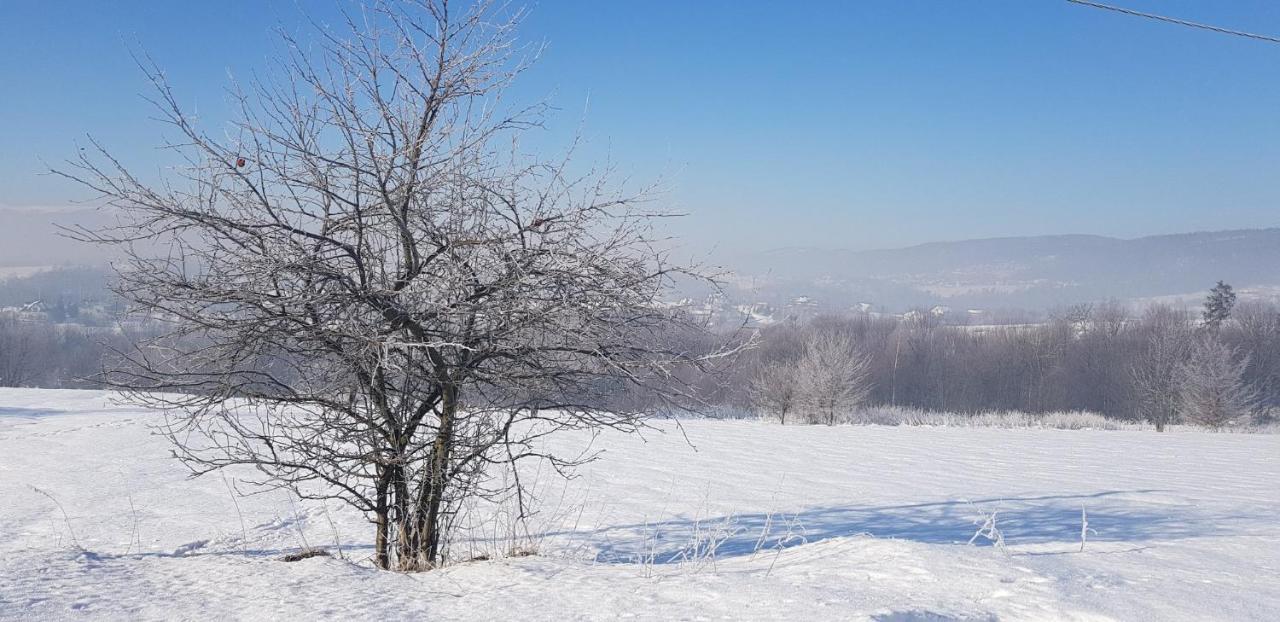 Dom Grabowa Z Sauna I Podgrzewanym Basenem Gilowice  ภายนอก รูปภาพ