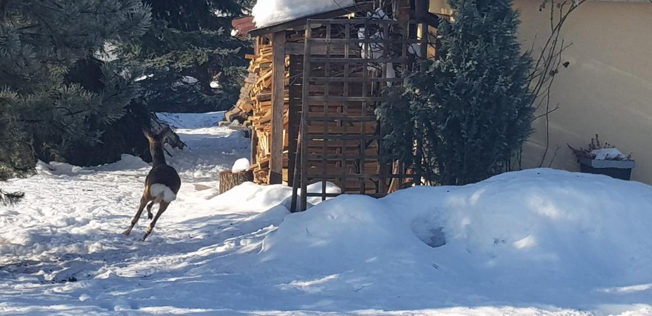 Dom Grabowa Z Sauna I Podgrzewanym Basenem Gilowice  ภายนอก รูปภาพ