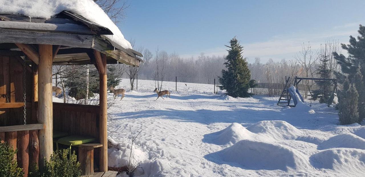 Dom Grabowa Z Sauna I Podgrzewanym Basenem Gilowice  ภายนอก รูปภาพ